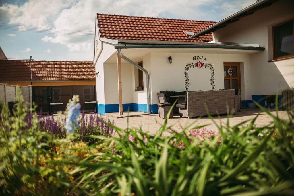 Apartman U Draba: Ubytovani Na Slovacku V Miloticich U Kyjova Milotice Экстерьер фото